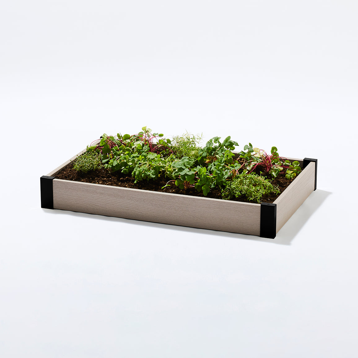 レイズドベッド 900×600 1段