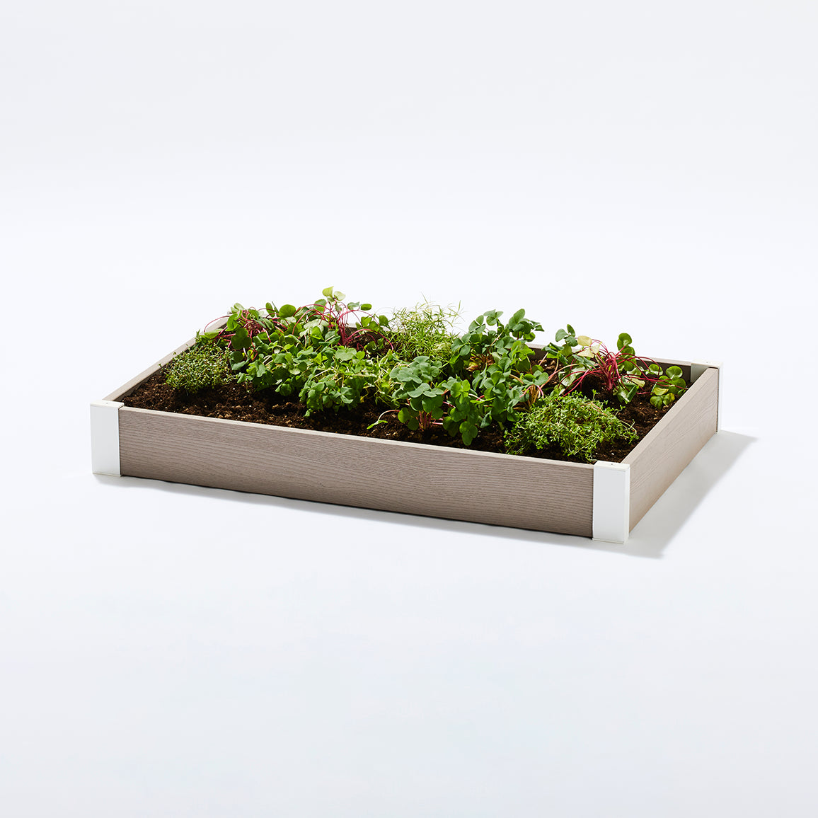 レイズドベッド 900×600 1段