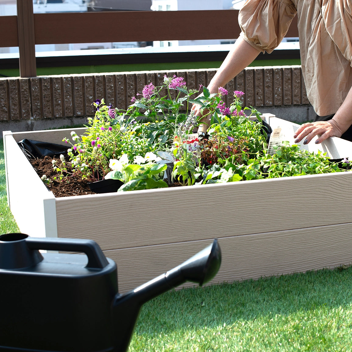 レイズドベッド (グレージュ×ブラック)