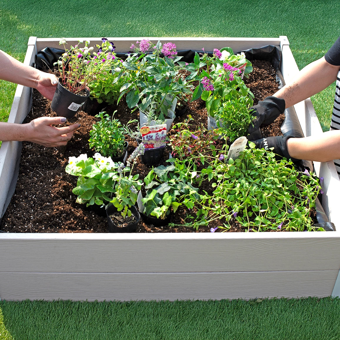 レイズドベッド (グレージュ×ホワイト)