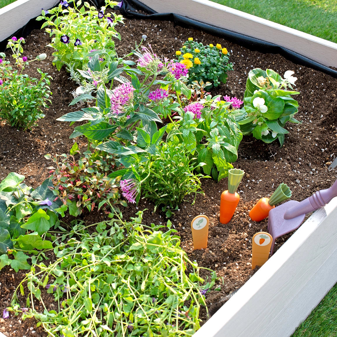 レイズドベッド (グレージュ×ブラック)