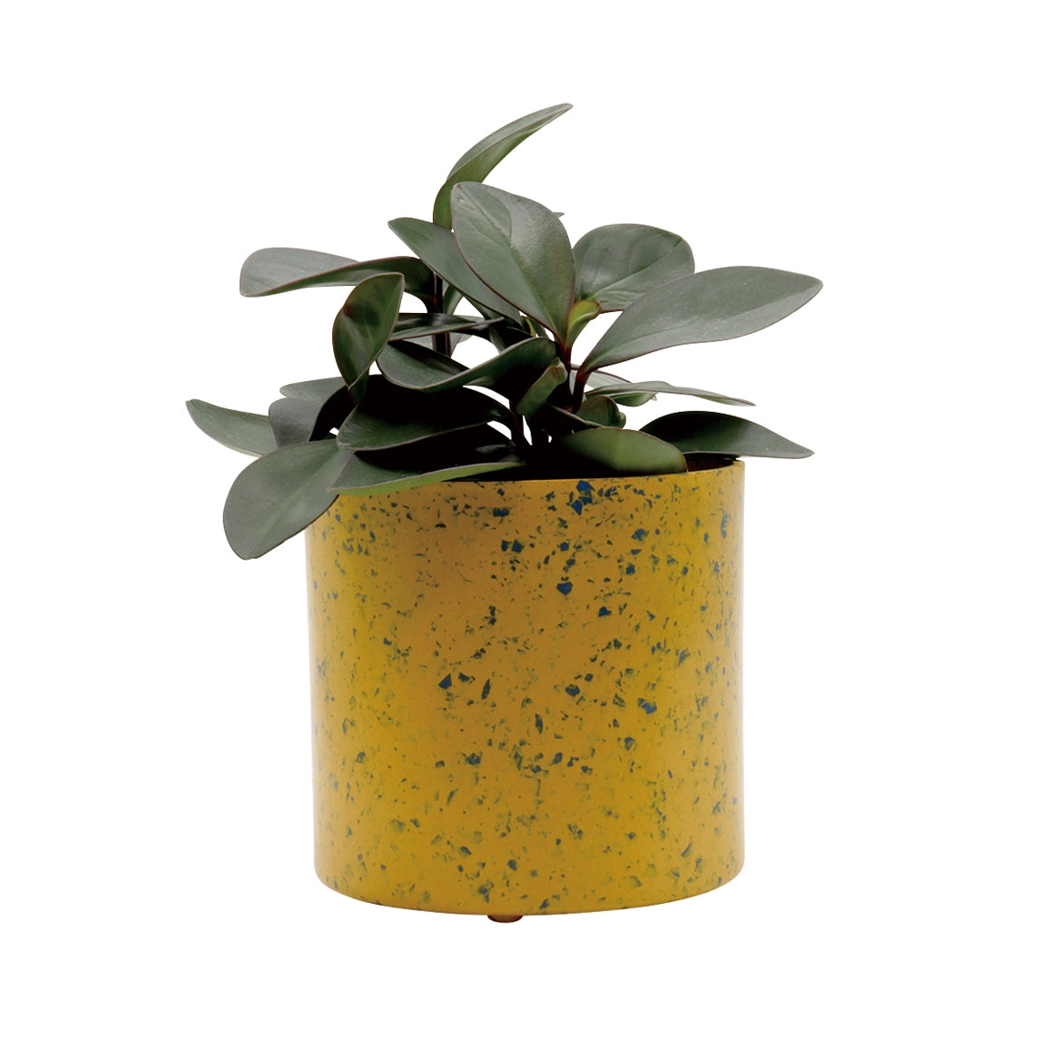 エコチップ円柱フラワーポット　植木鉢　鉢カバー