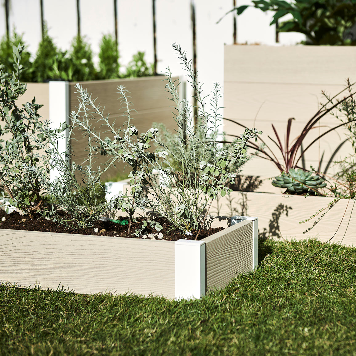 レイズドベッド