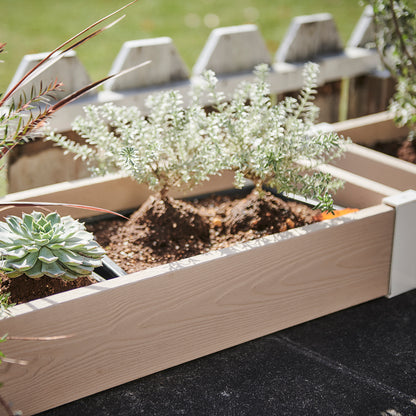 レイズドベッド