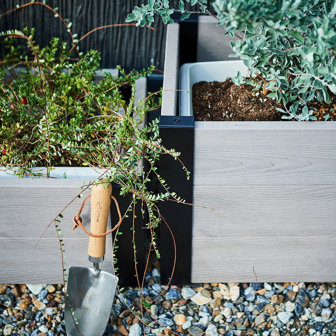 レイズドベッド