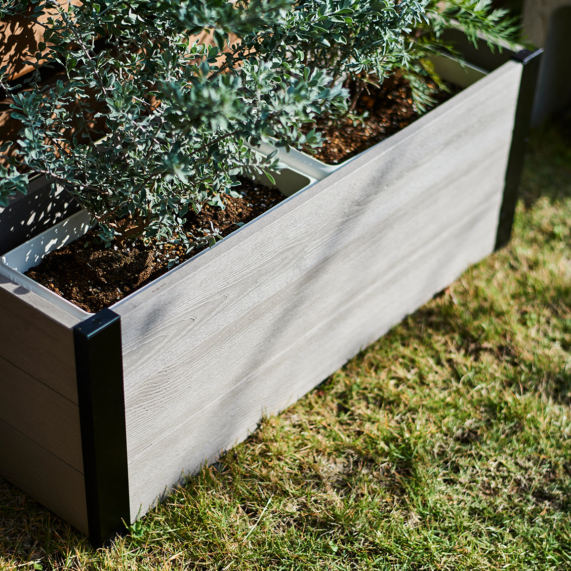 レイズドベッド