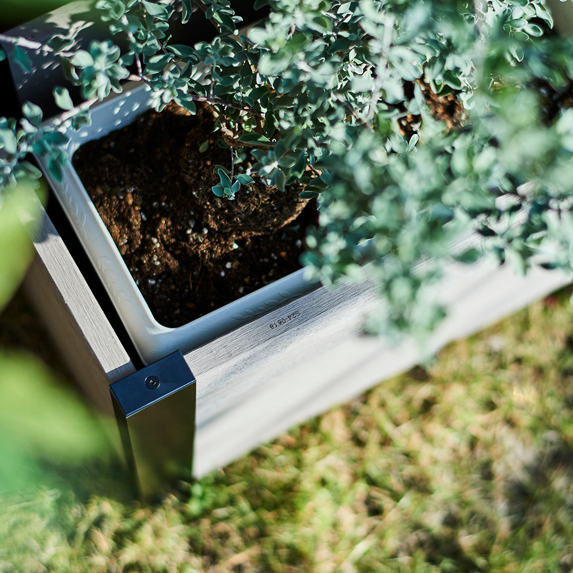 レイズドベッド