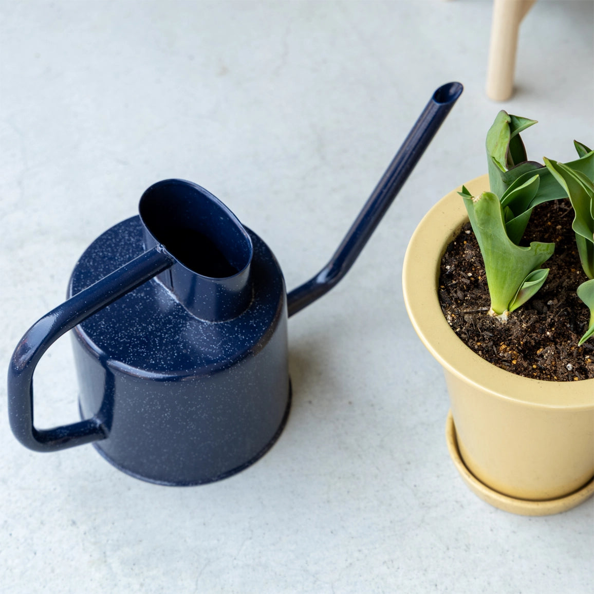 スチールジョウロ　ガーデニング